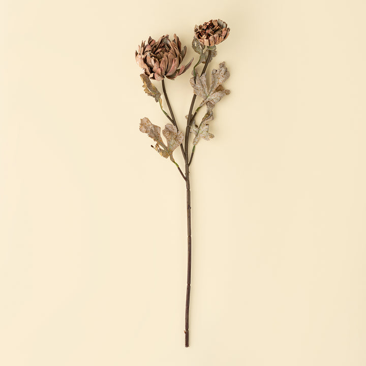 Dahlia Spray, Brown
