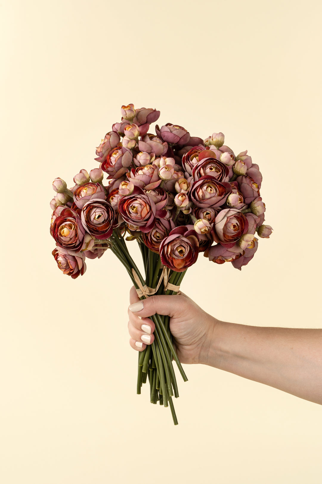 Ranunculus Bouquet, Pink