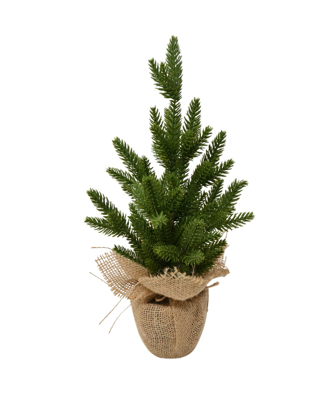 Fir Tree in Jute Pot