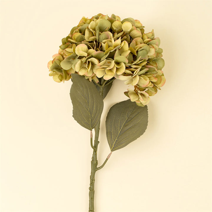 Faded Hydrangea Stem, Green
