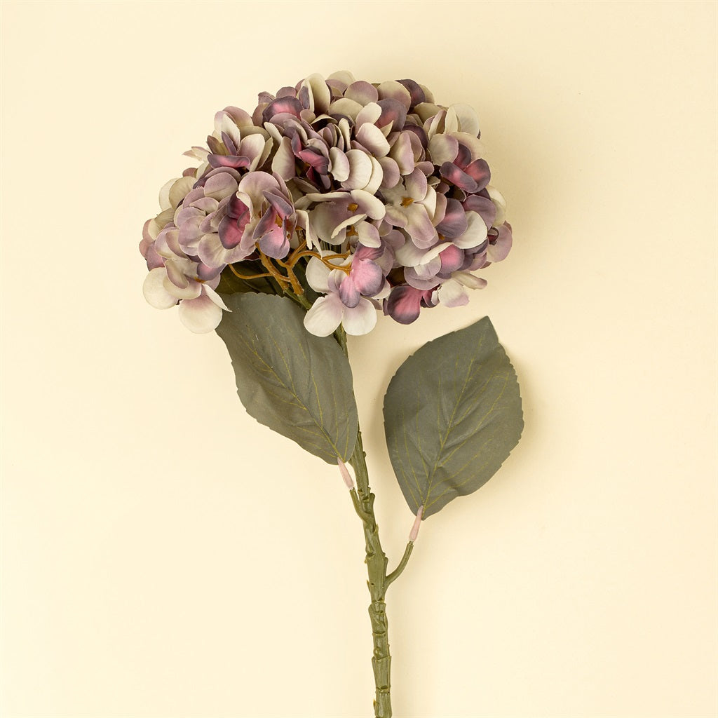 Faded Hydrangea Stem, Purple