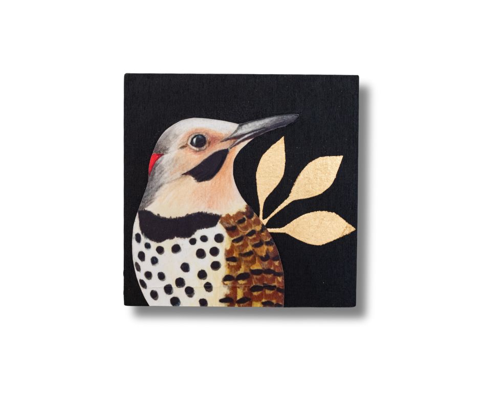 Northern Flicker