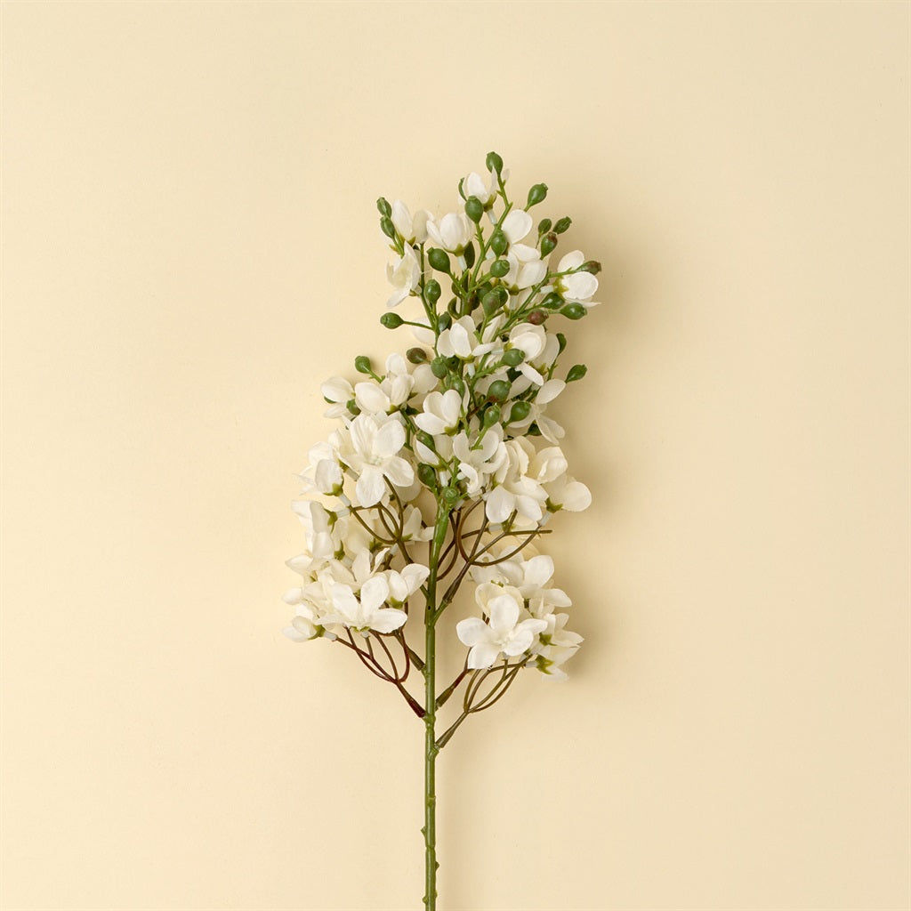 Delphinium Stem, White