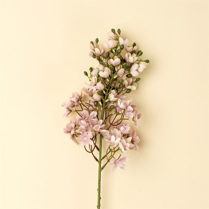 Delphinium Stem, Pink