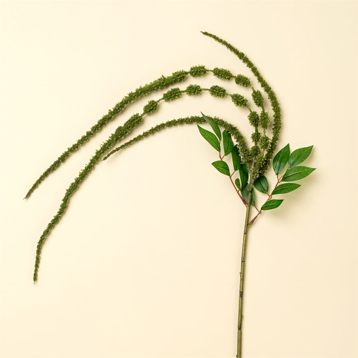 Green Amaranth Stem