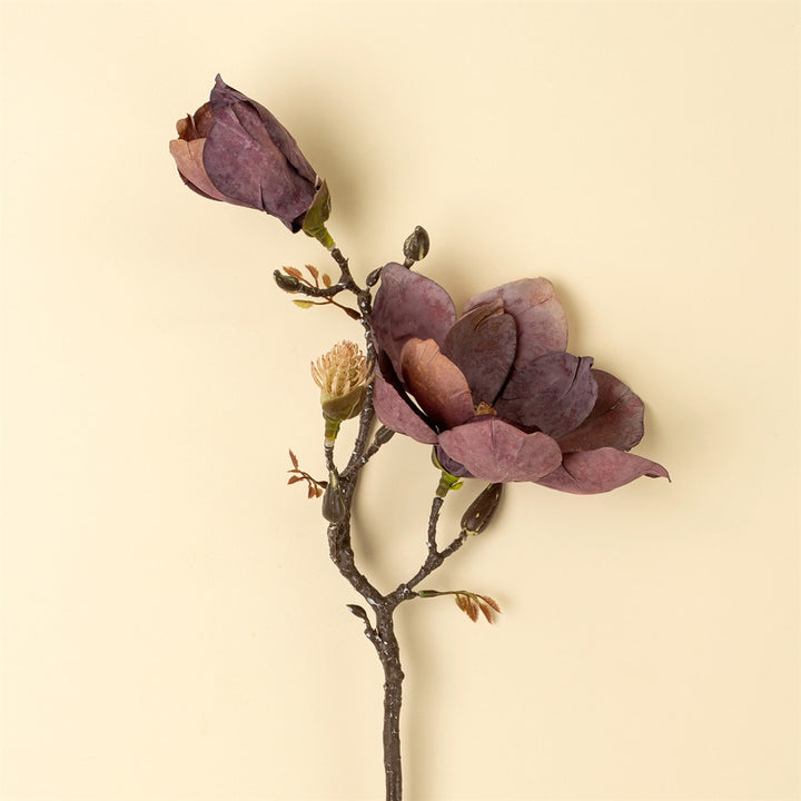 Magnolia Branch, Purple