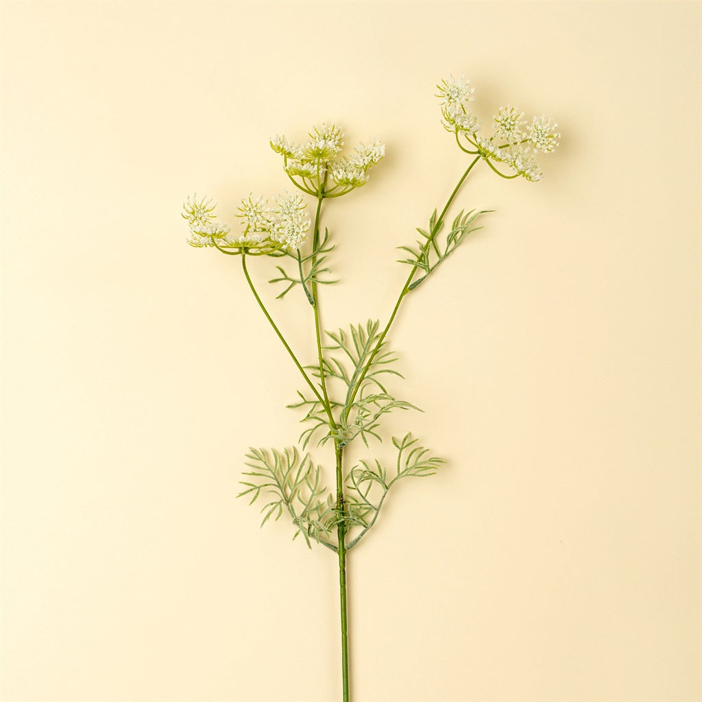 Queen Anne's Lace Spray, White