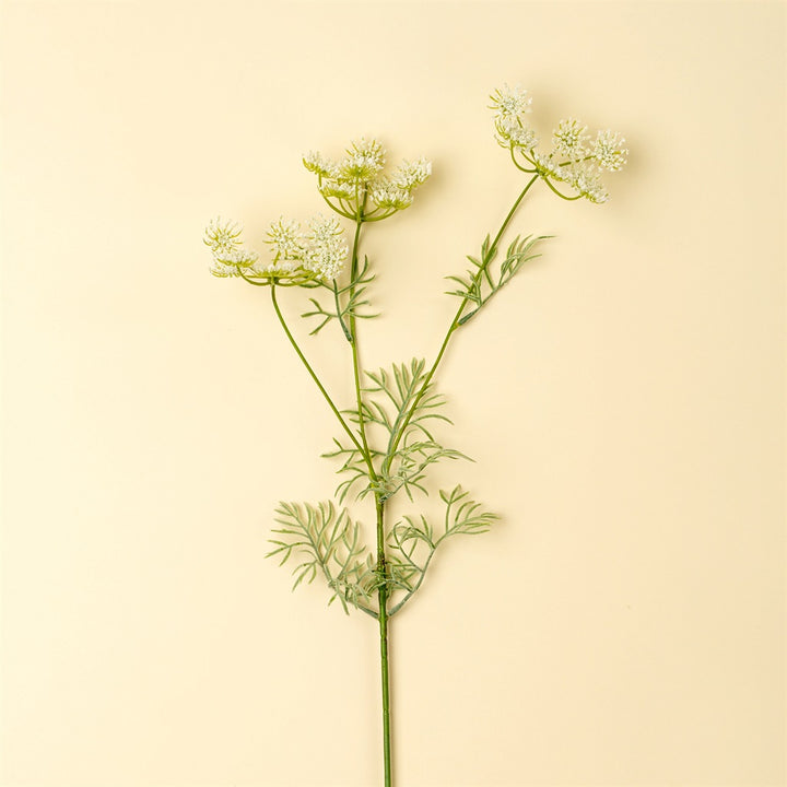 Queen Anne's Lace Spray, White