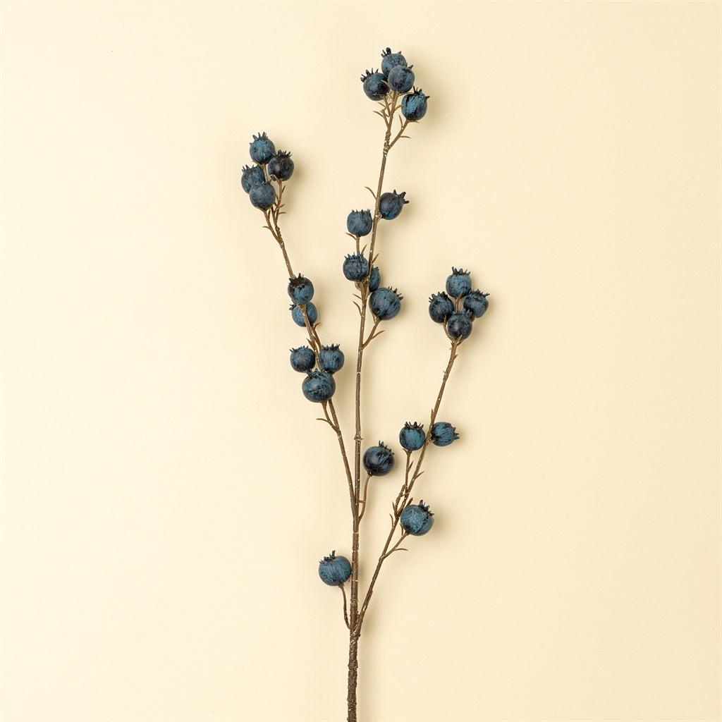 Blueberry Branch