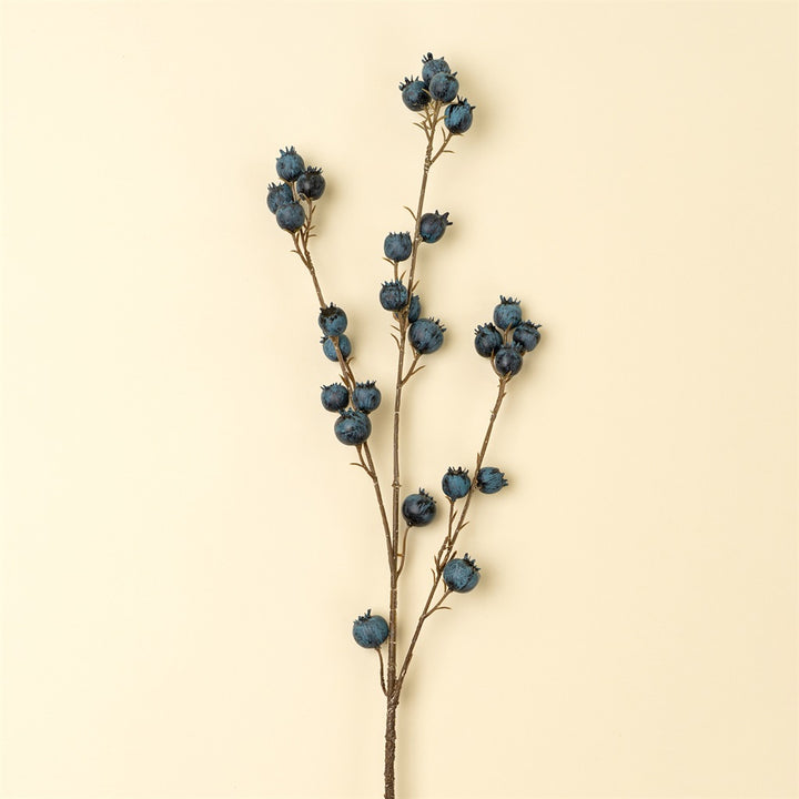 Blueberry Branch