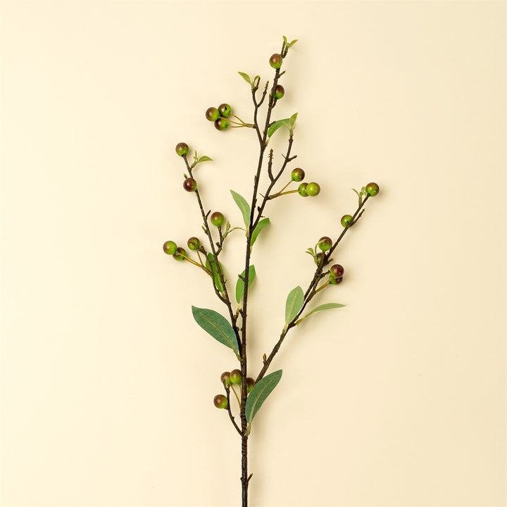 Hypericum Berry Spray