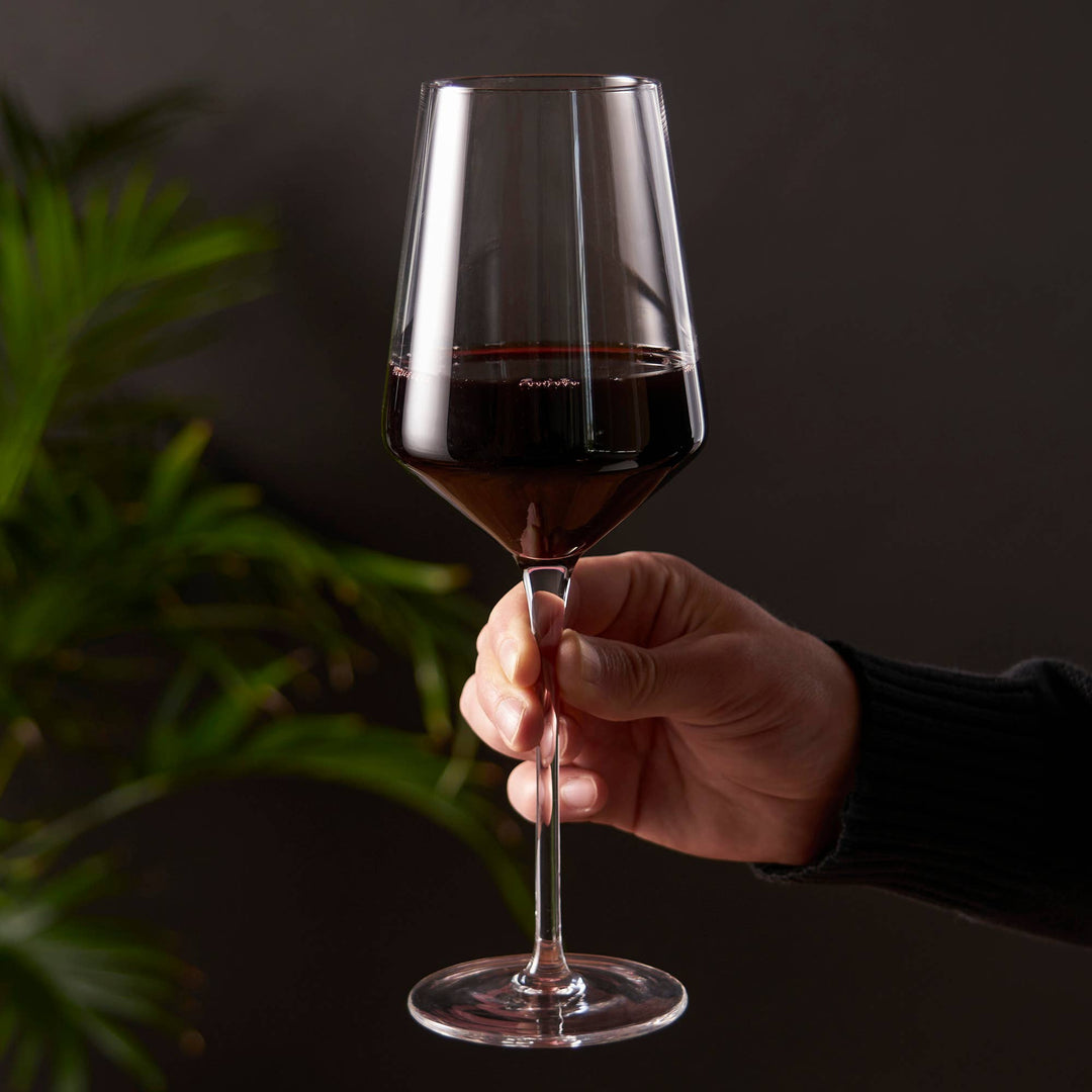 Raye Crystal Bordeaux Glasses - Set of 2