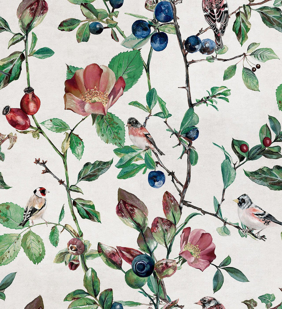 Goldfinch Song Wallpaper, set of 2 rolls