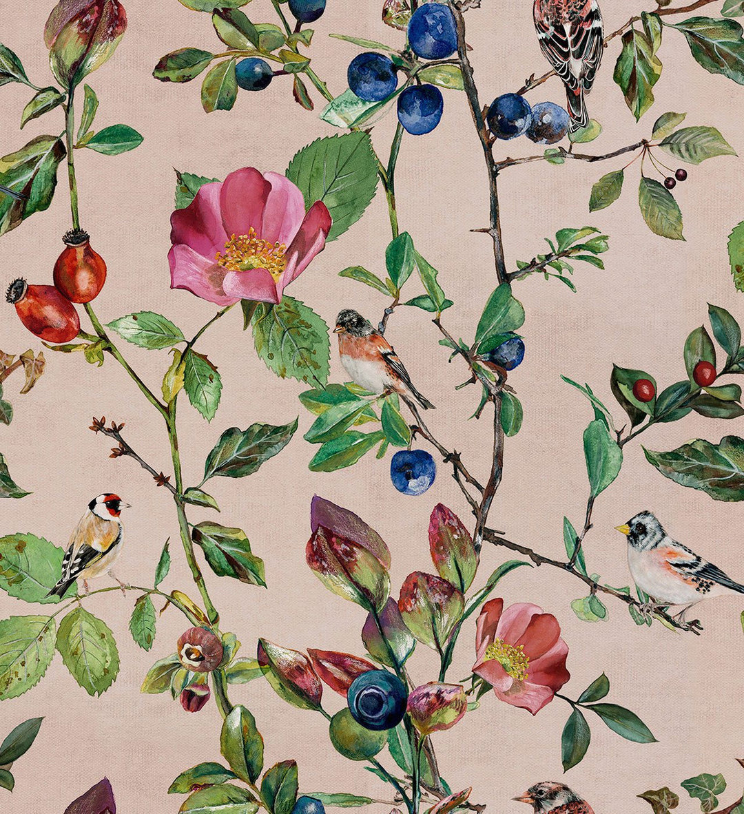 Goldfinch Song Wallpaper, set of 2 rolls