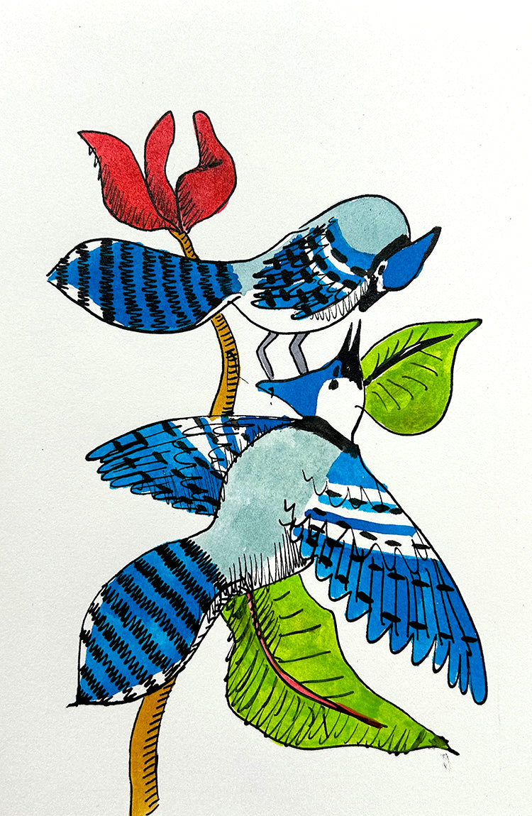 Bluejay 3 | Inks on Paper by Colin Smith