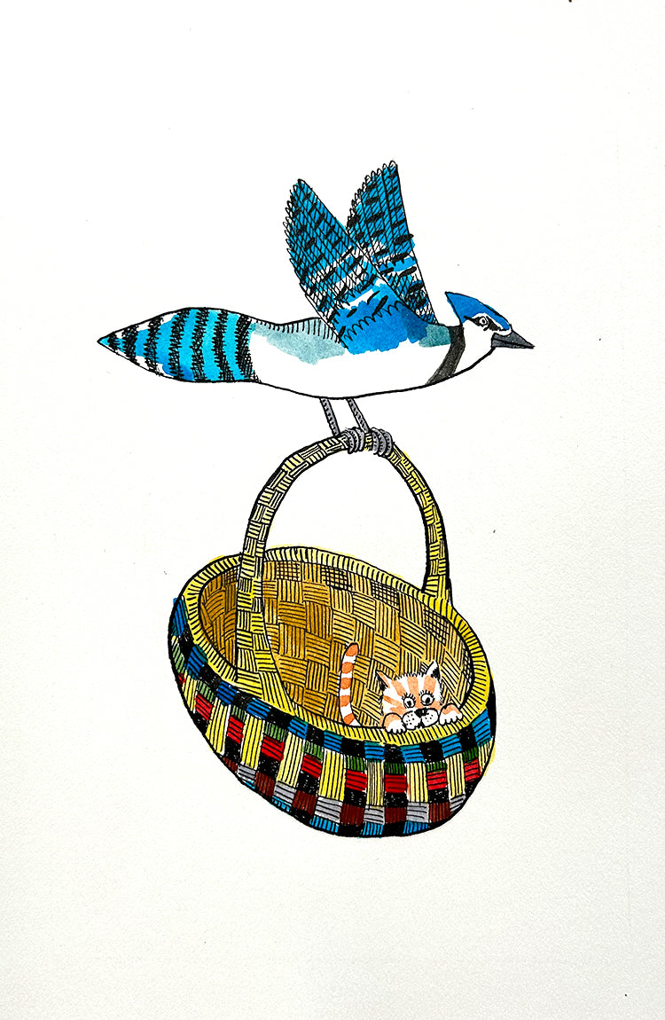 Bluejay 6 | Inks on Paper by Colin Smith