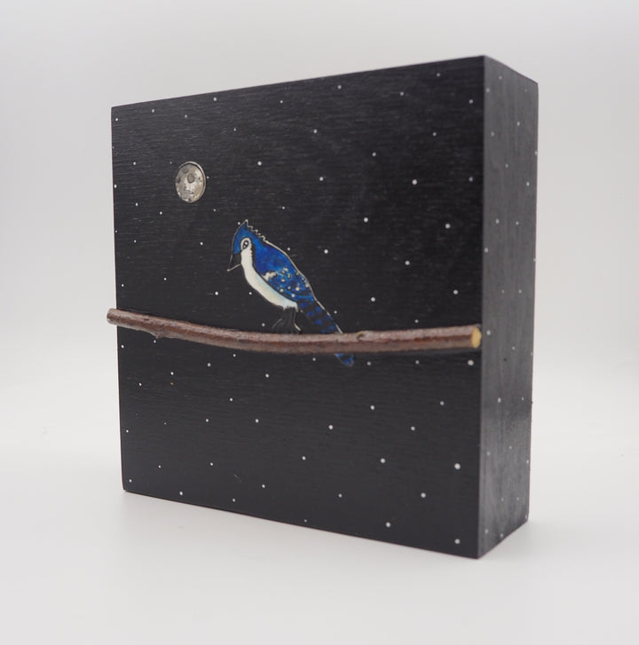Blue Jay #93