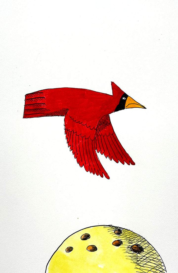 Cardinal 5 | Inks on Paper by Colin Smith