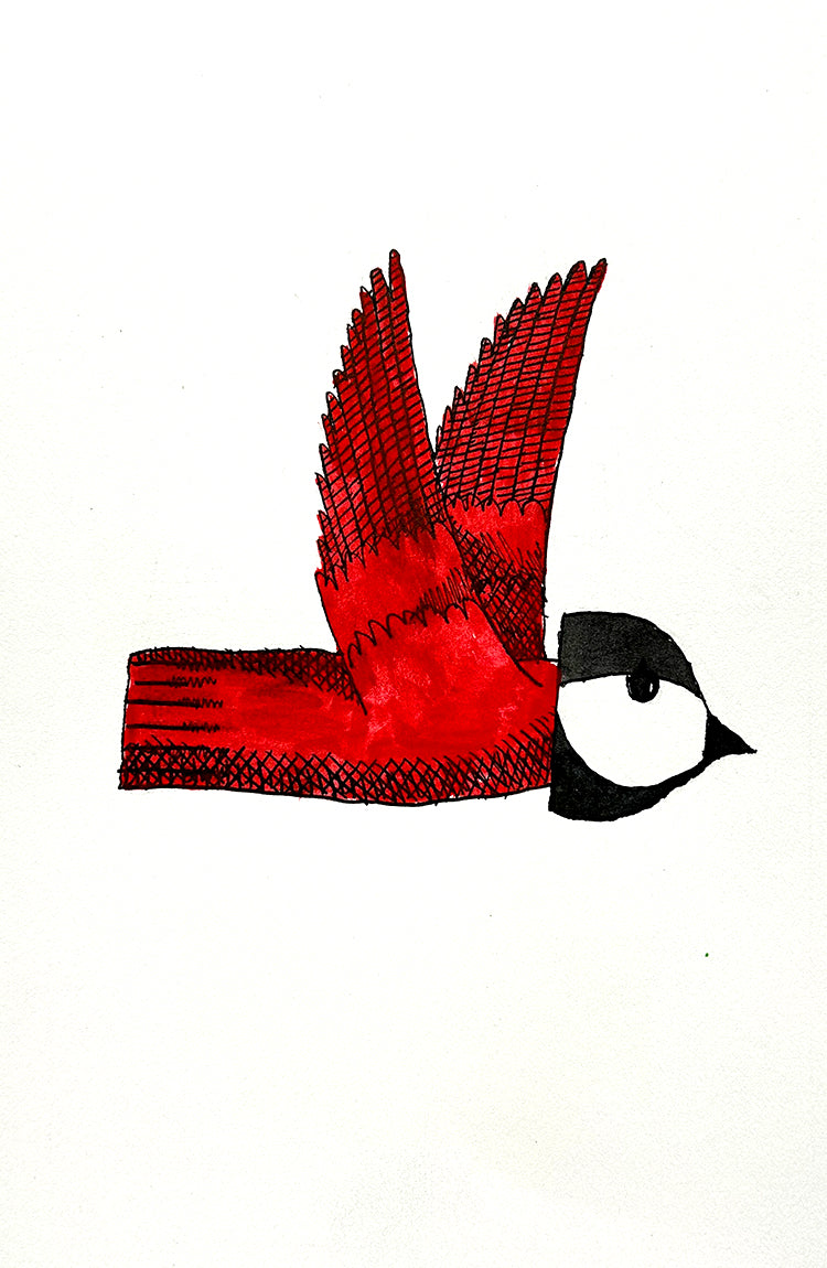 Cardinal 6 | Inks on Paper by Colin Smith