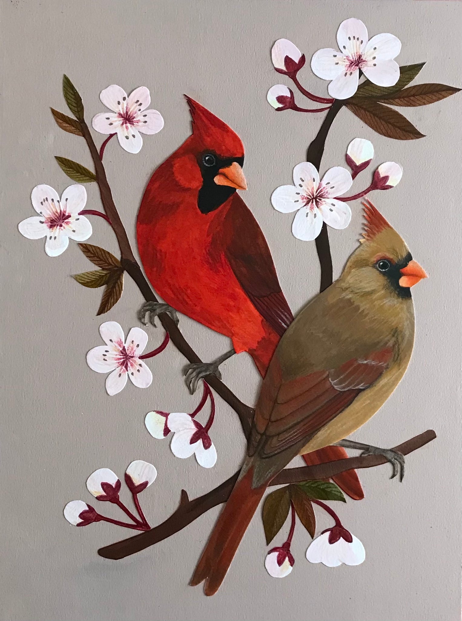 Cherry Blossom Cardinals