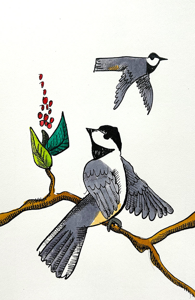 Chickadee 2 | Inks on Paper by Colin Smith