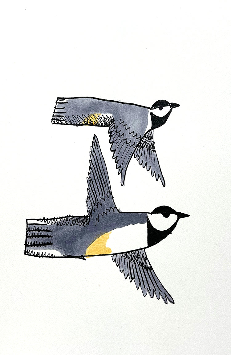 Chickadee 3 | Inks on Paper by Colin Smith