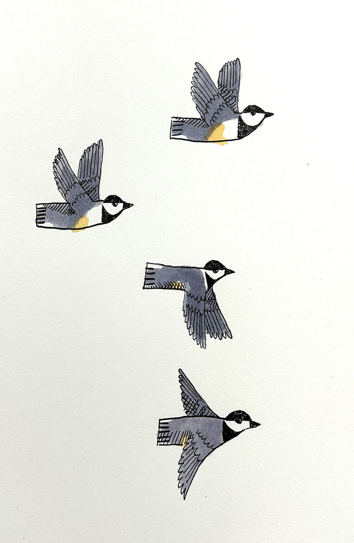 Chickadee 5 | Inks on Paper by Colin Smith