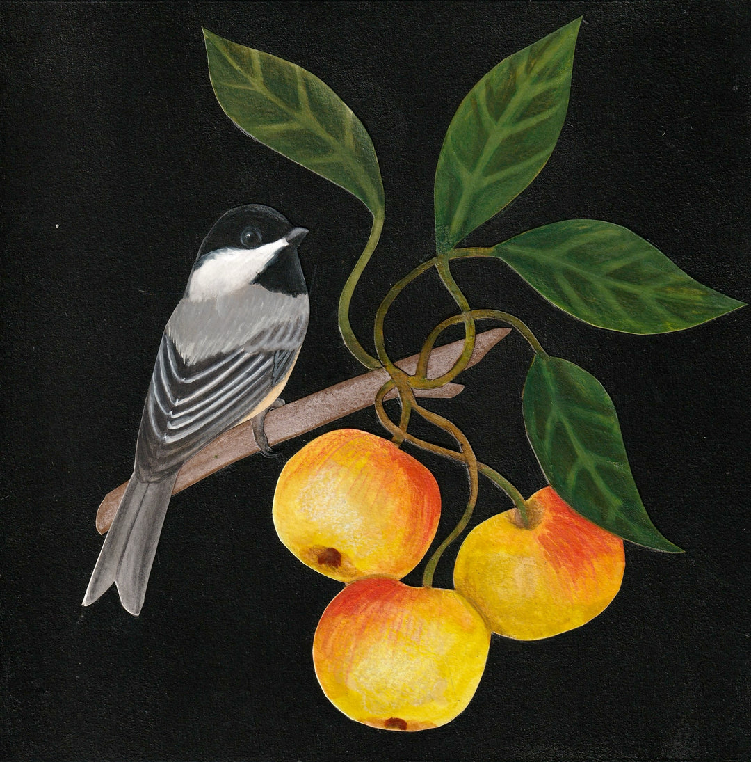 Chickadee in Apple #1