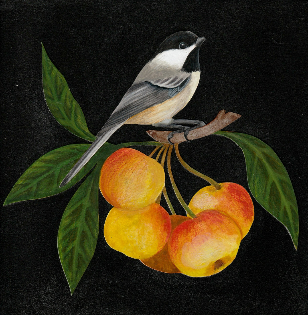 Chickadee in Apple #2