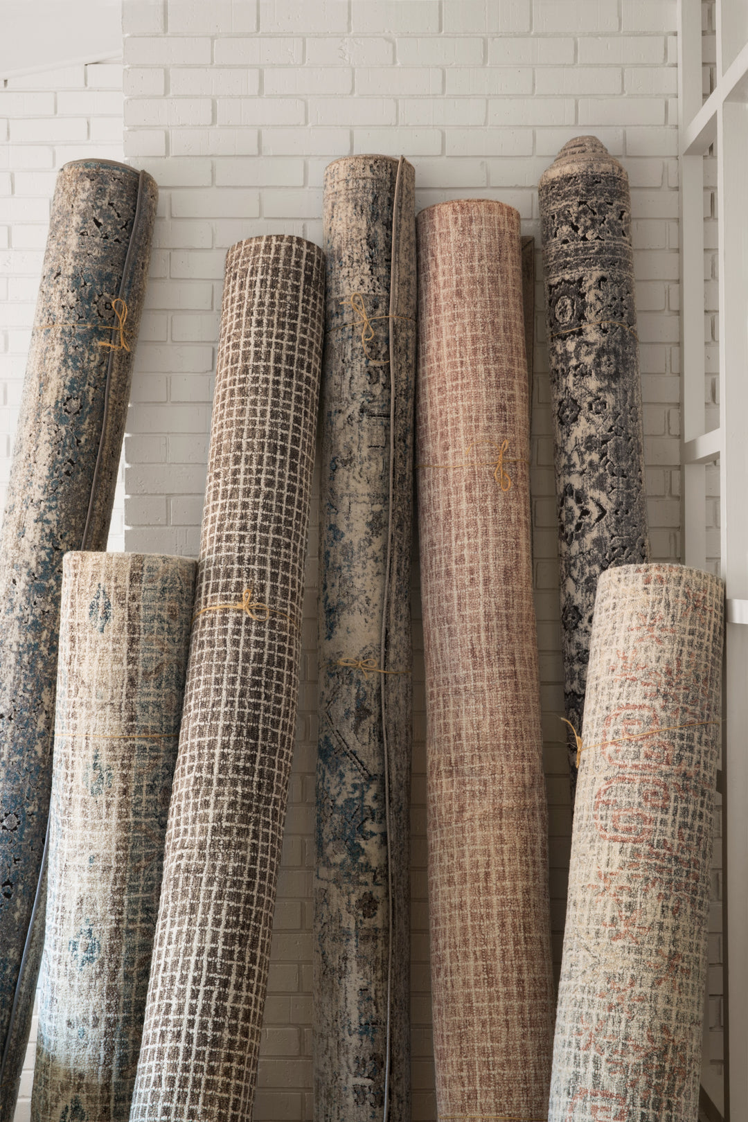 Loloi Giana Blush Rugs