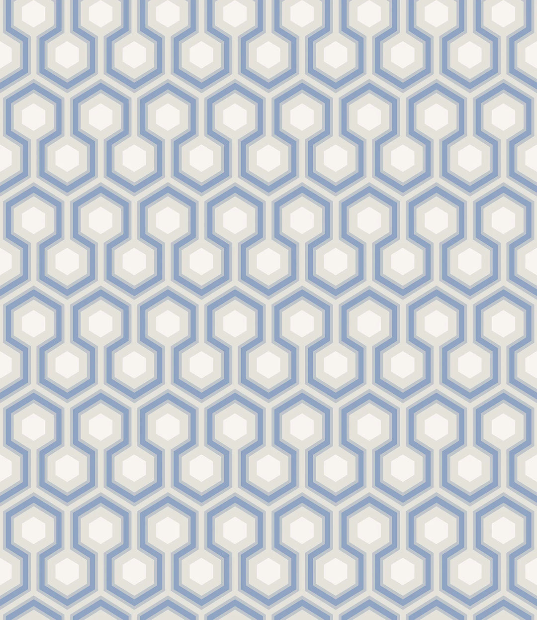 hick's hexagon blue white