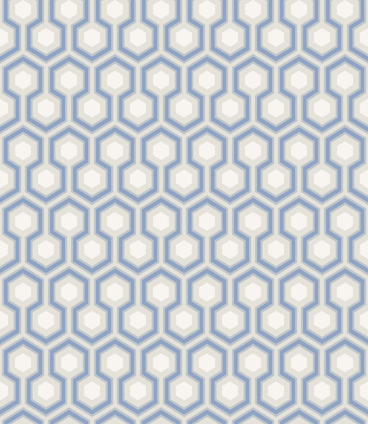 hick's hexagon blue white