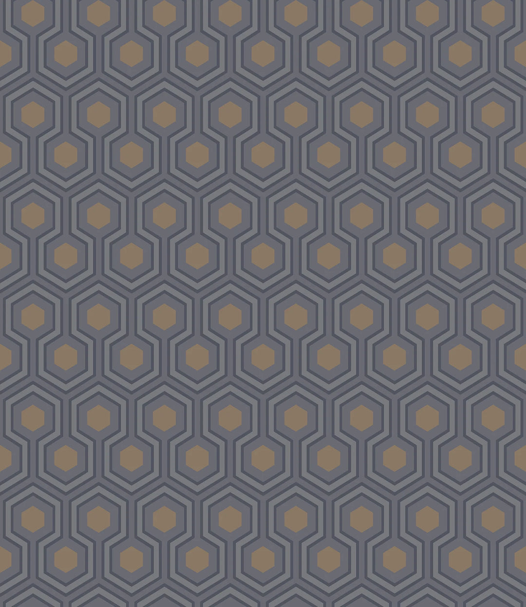 hick's hexagon gray