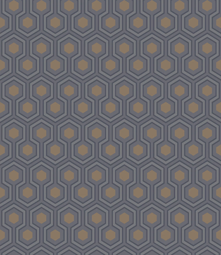 hick's hexagon gray