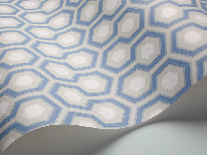 hick's hexagon blue and white details