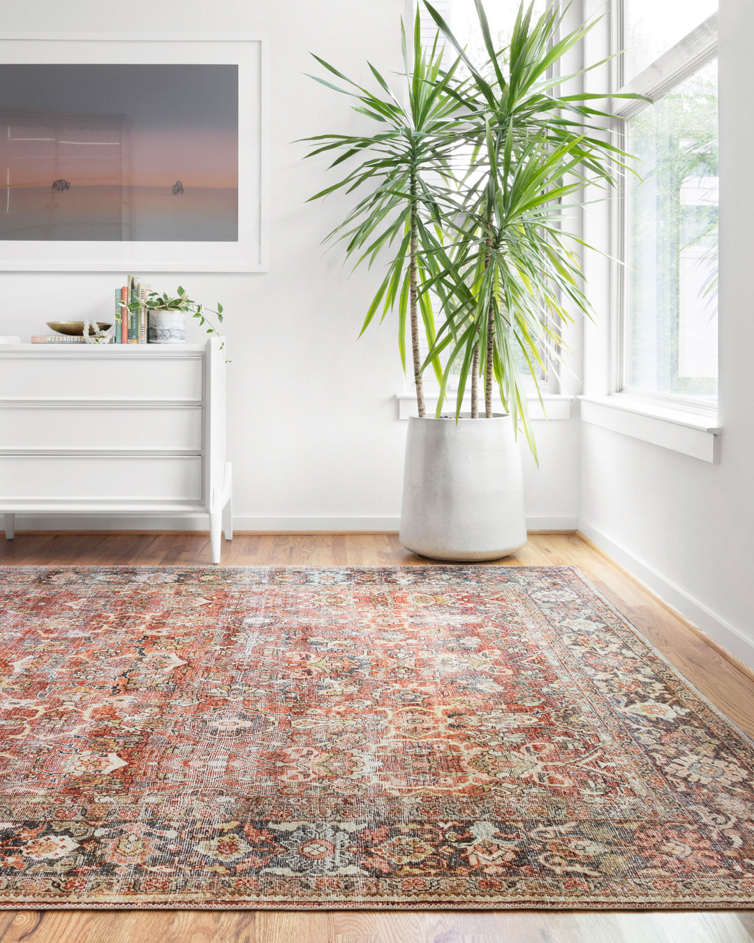 Loloi II Layla Spice / Marine Rugs