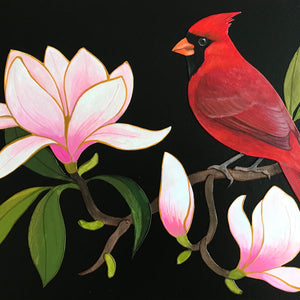 Magnolia Cardinal