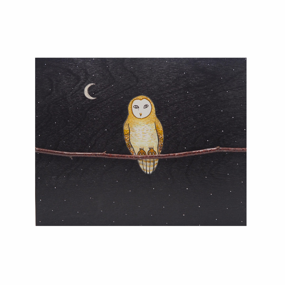 Owl #527