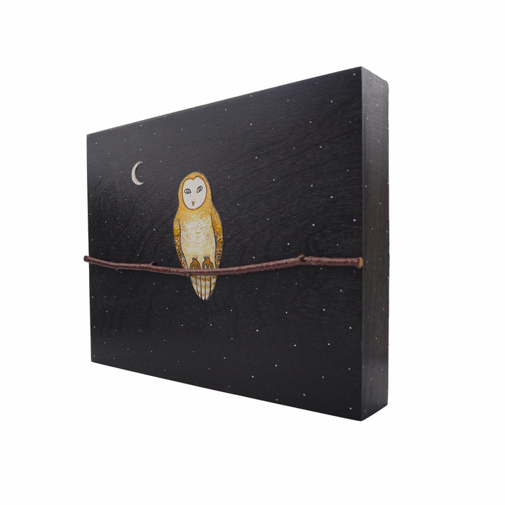 Owl #527