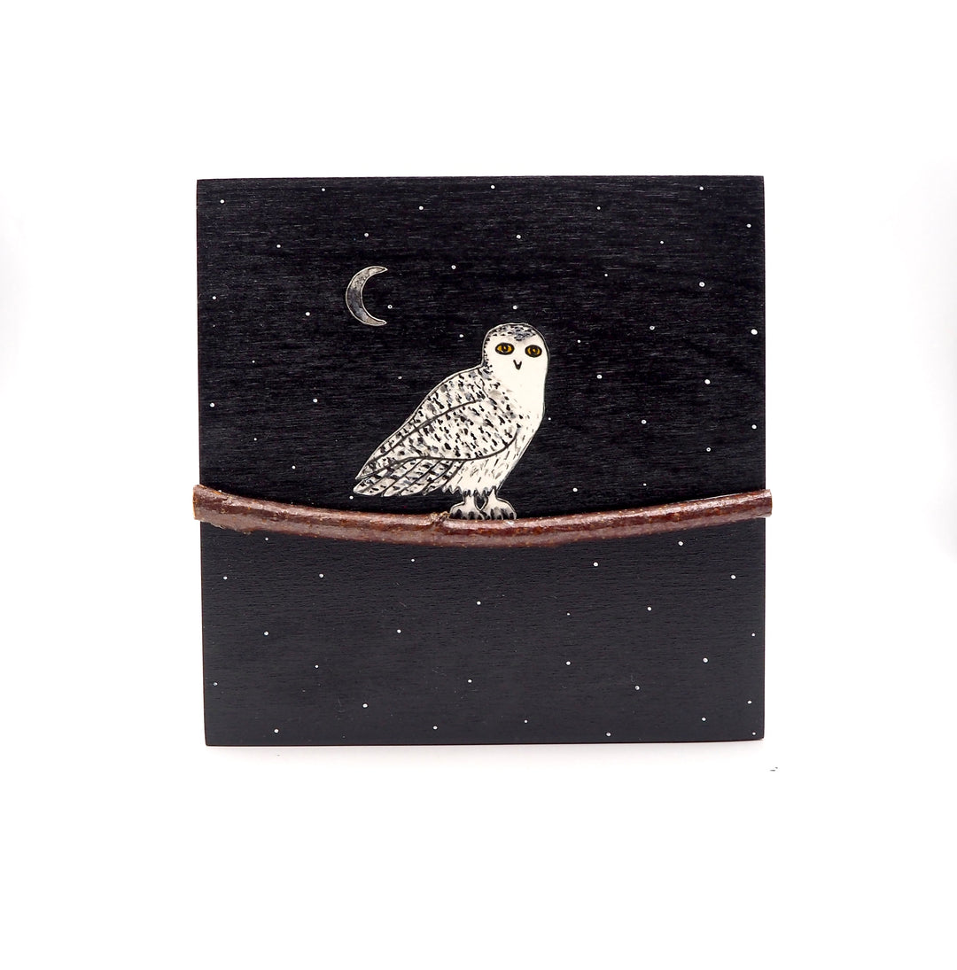 Owl #528