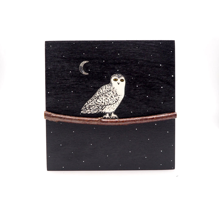 Owl #528