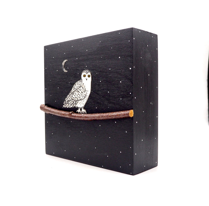 Owl #528