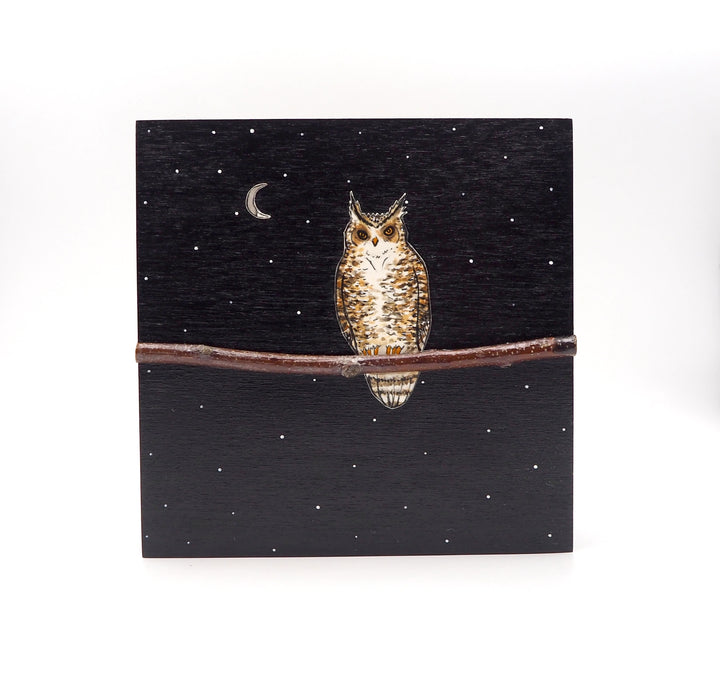 Owl #529