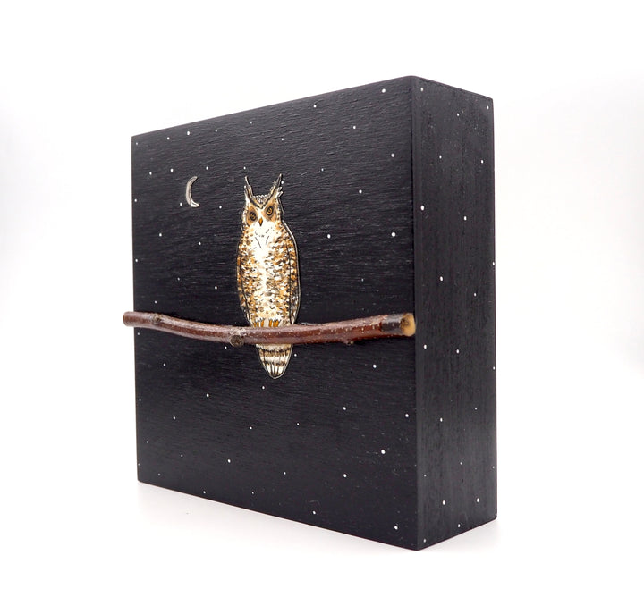 Owl #529