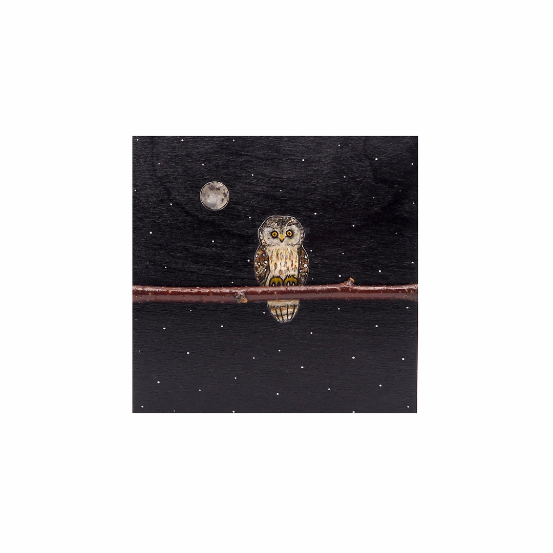 Owl #530