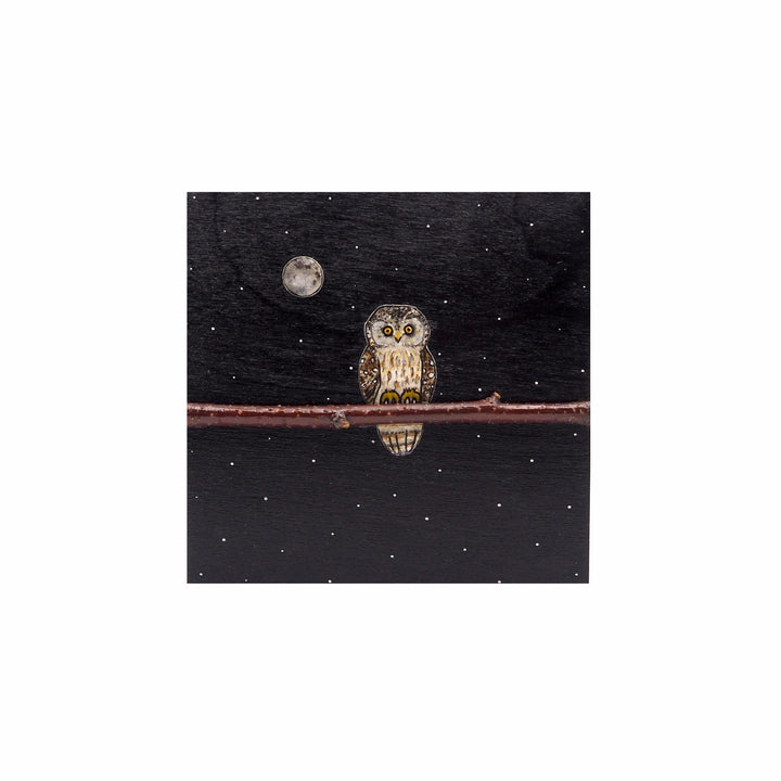 Owl #530