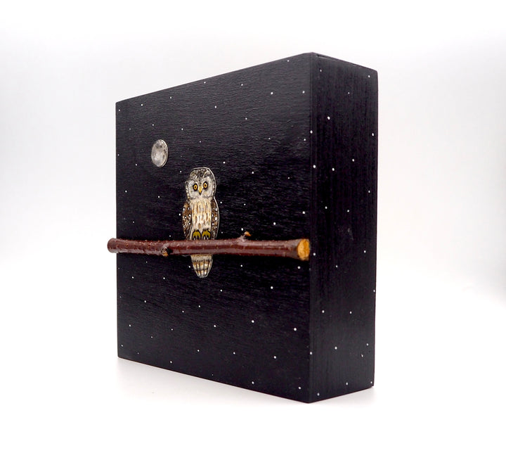 Owl #530
