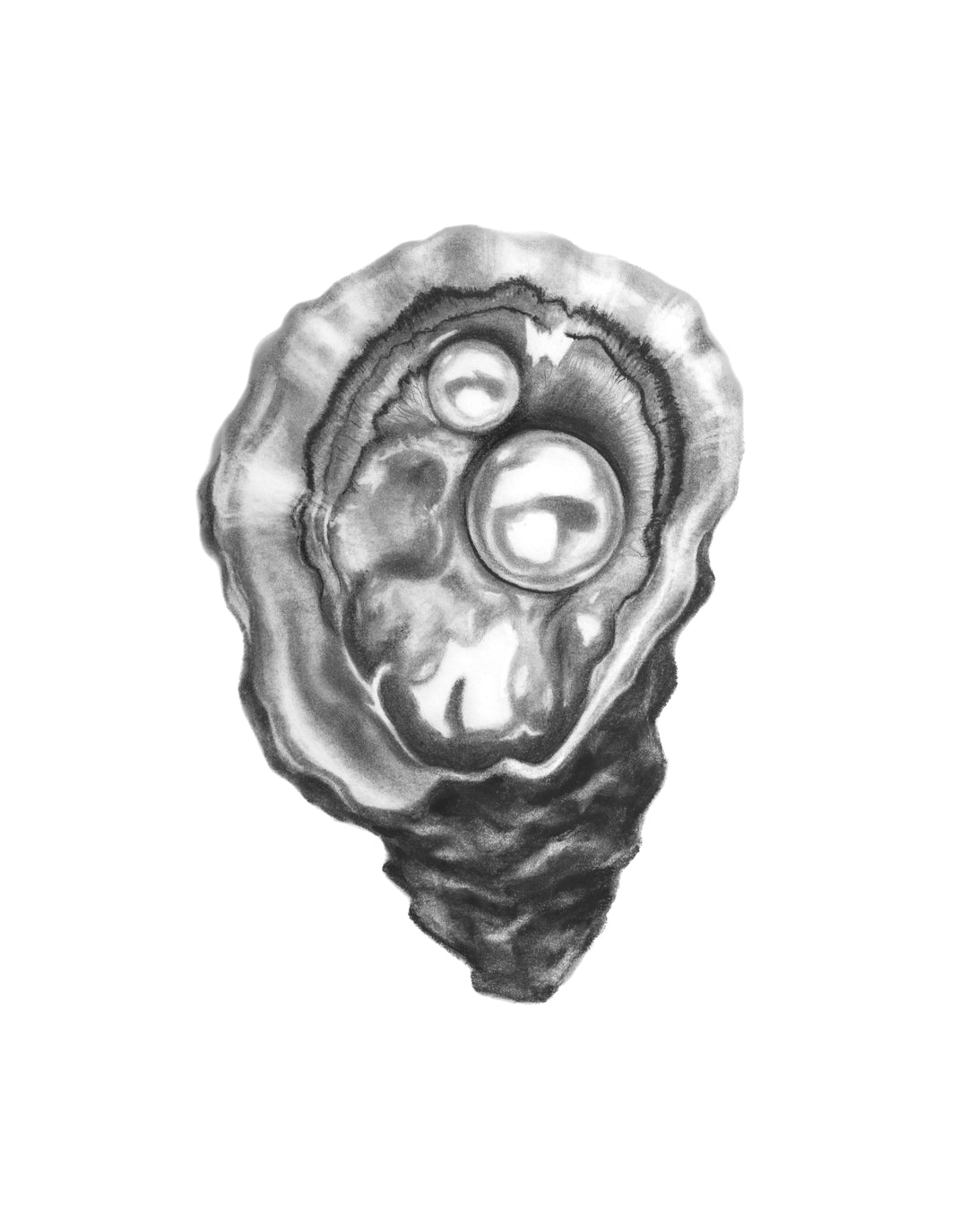 Oyster