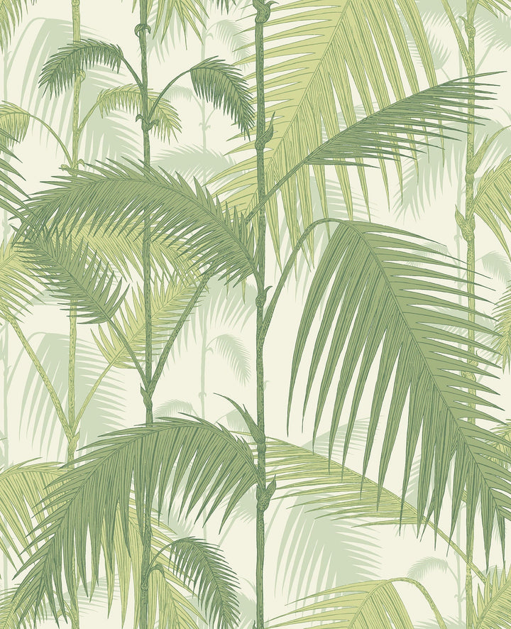 Palm Jungle Wallpaper