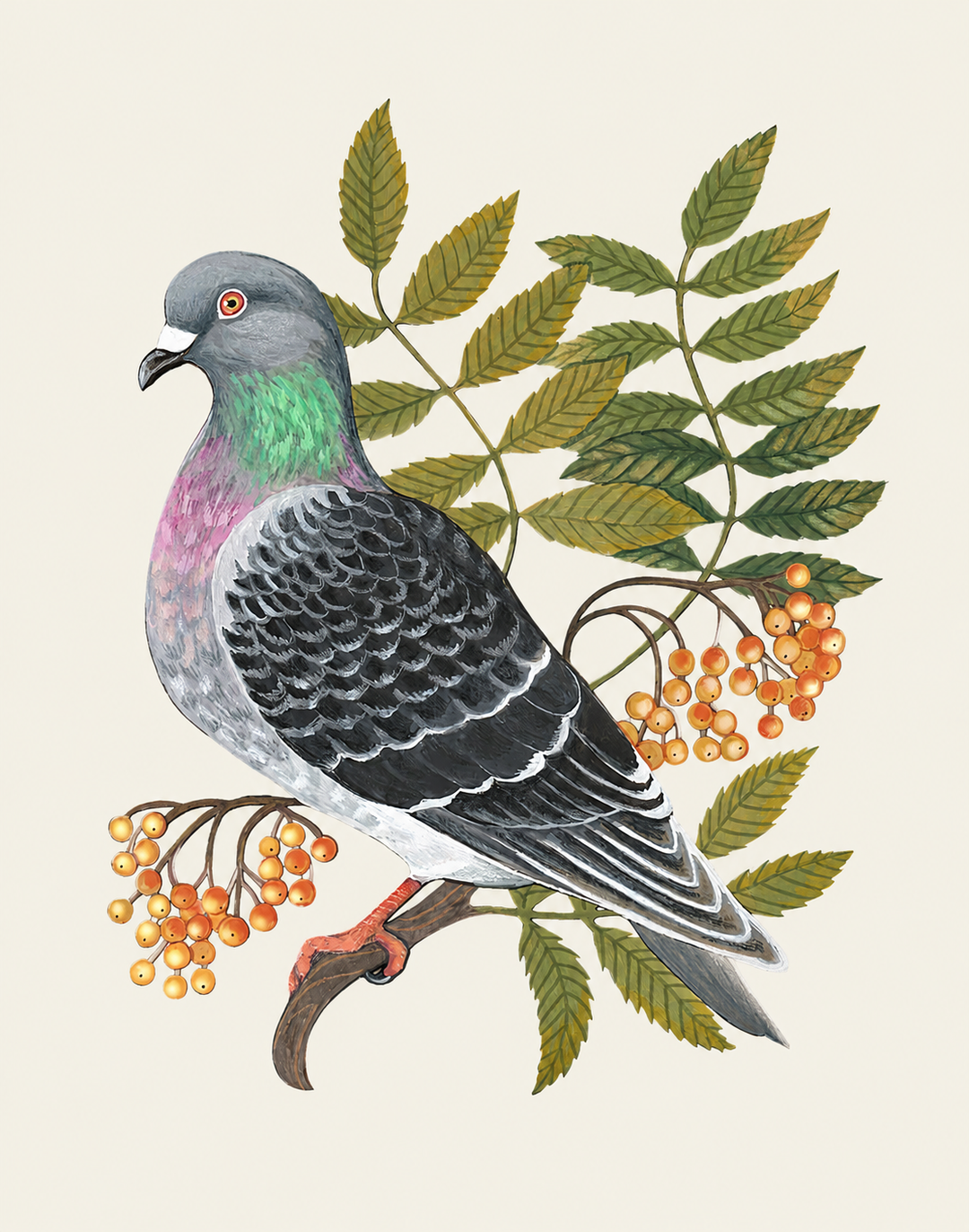 Rowan, Cream